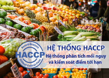 hệ thống haccp