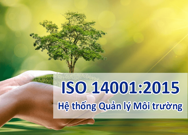 tiêu chuẩn iso 14001:2015 