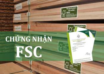 Chứng nhận FSC: Cánh cửa xuất khẩu hàng hóa