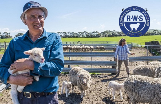 chứng nhận rws cho trang trại cừu