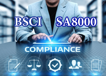 Mối quan hệ giữa hai chứng nhận BSCI và SA8000