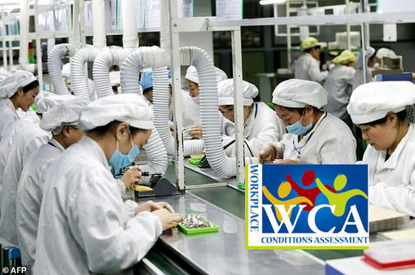 Các vấn đề thường gặp phải khi nhà máy được WCA chứng nhận là gì?