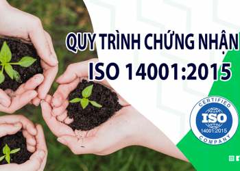 Quy trình chứng nhận ISO 14001:2015