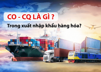 Chứng nhận CO CQ là gì ? Phân biệt và áp dụng CO CQ như thế nào?