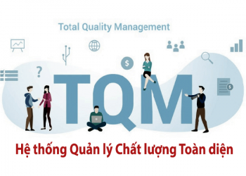 TQM là gì ? Hệ thống Quản lý Chất lượng Toàn diện