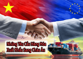 Những Yêu Cầu Hàng Hóa Xuất Khẩu Sang Châu Âu