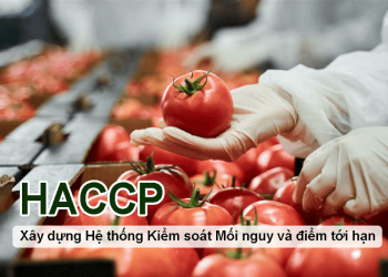 Tư vấn HACCP – Hệ thống kiểm soát mối nguy và điểm tới hạn