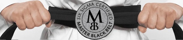 black belt Six Sigma Master