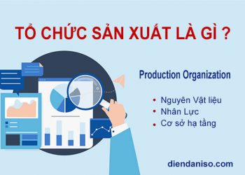 tổ chức sản xuất là gì