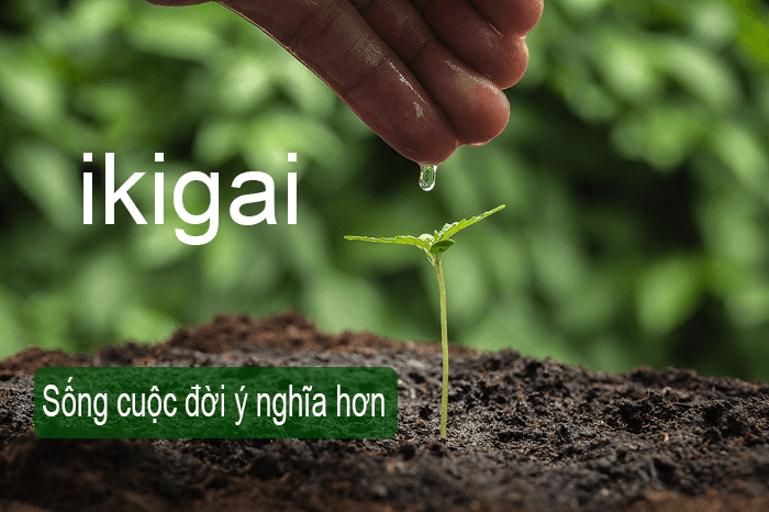 ikigai là gì 