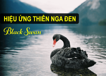 hiệu ứng thiên nga đen là gì ??