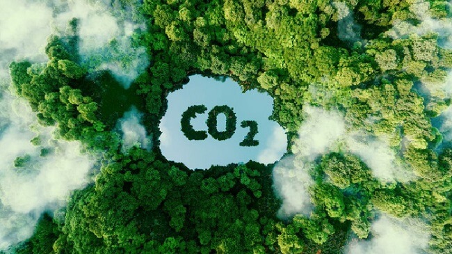 carbon dioxide là gì