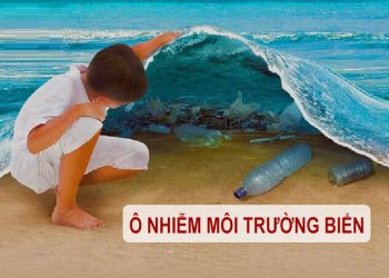 ô nhiễm môi trường biển