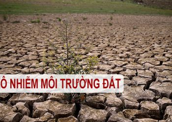 ô nhiễm môi trường đất