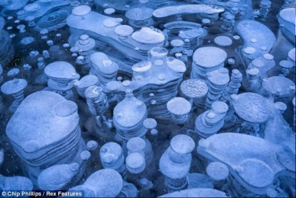 Bong bóng khí đóng băng