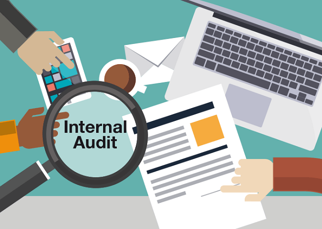 internal audit là gì 