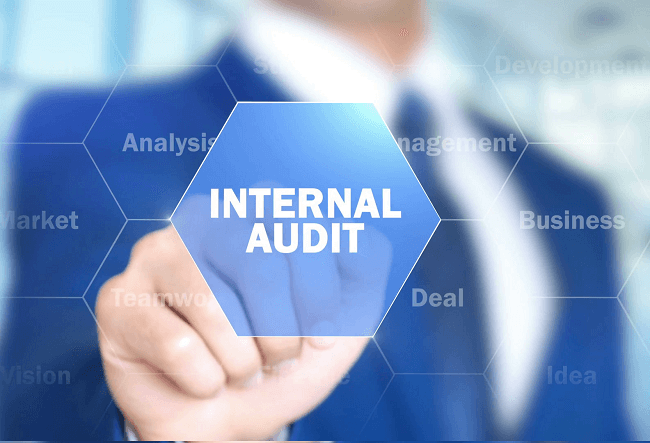 internal audit là gì 