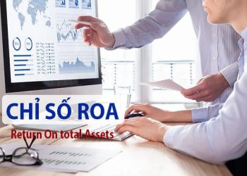 chỉ số roa