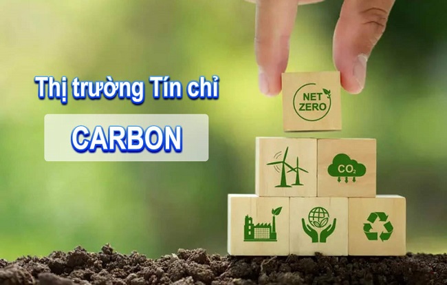 thị trường tín chỉ carbon