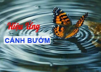 hiệu ứng cánh bướm
