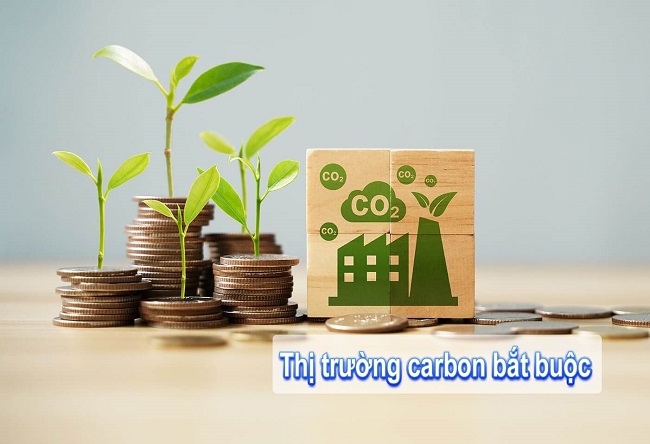 thị trường carbon bắt buộc