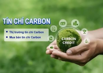 Tín chỉ carbon