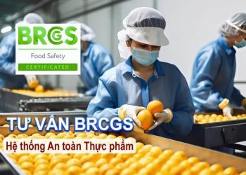 tư vấn brcgs