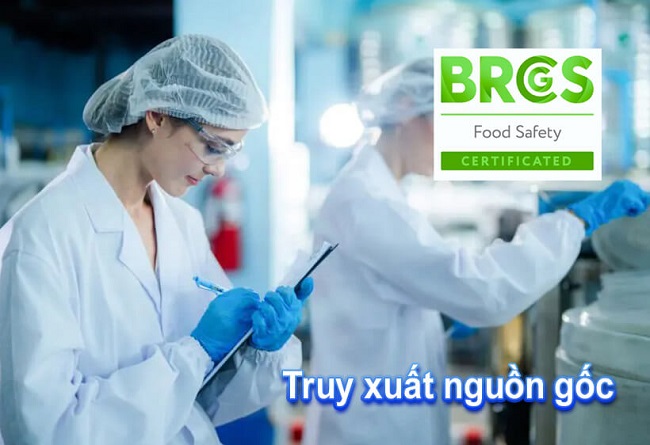 BRCGS Food phiên bản 9