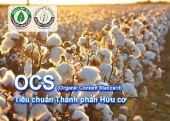 Tiêu chuẩn OCS