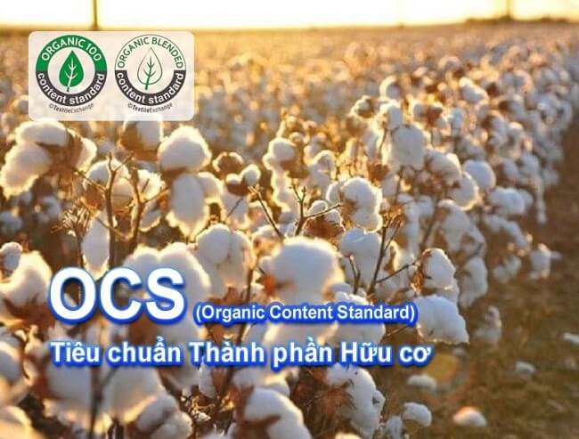 Tiêu chuẩn OCS 