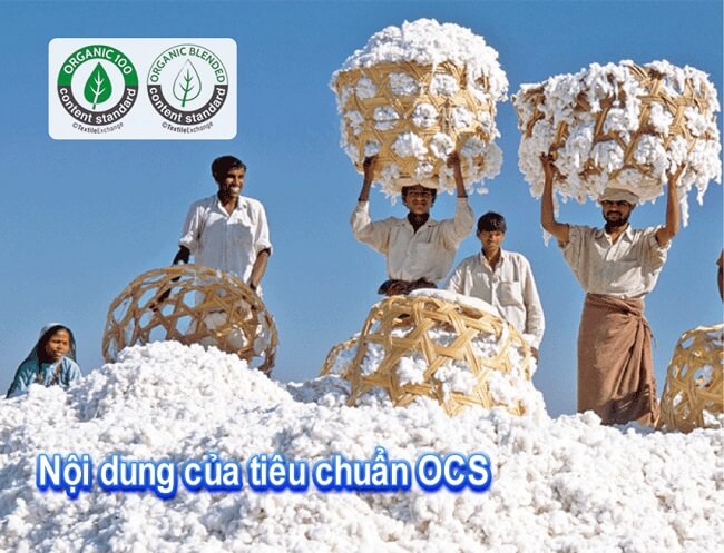 Tiêu chuẩn OCS 