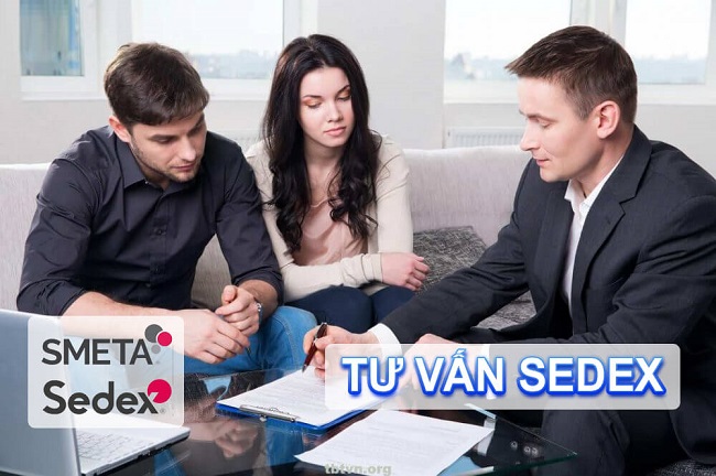 tư vấn sedex-smeta