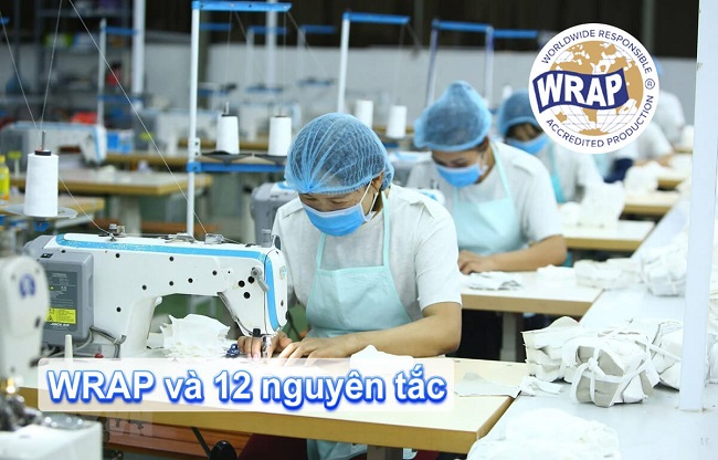 tư vấn wrap